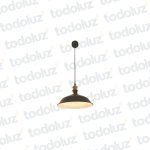 Colgante Estilo Industrial Negro c/Abertura Superior Det. Dorado 1*E27 (54.789)