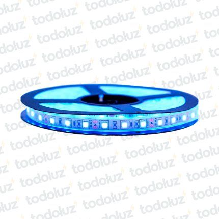 Cinta Led Azul 50x50 60leds 12w/M 12V (x.Rollo/5m)