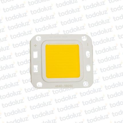 Chip p/ Alumbrado Led c/Lupa 50W Calido