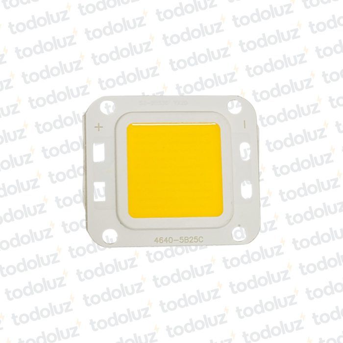 Chip p/ Alumbrado Led c/Lupa 50W Calido