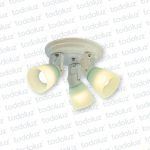 Plafon Adosar 3 Luces Direccional Blanco Tulp. Vd. Satinado 3*E27 (51.155)