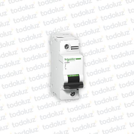 Interruptor Termomagnetico Sist. Din 1P 100A 15ka C IC120 Premium Schneider