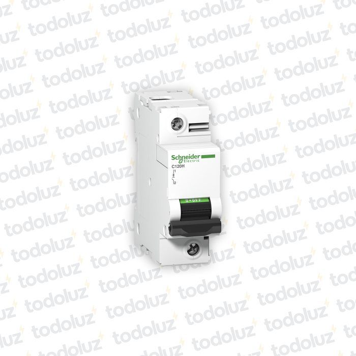 Interruptor Termomagnetico Sist. Din 1P 100A 15ka C IC120 Premium Schneider