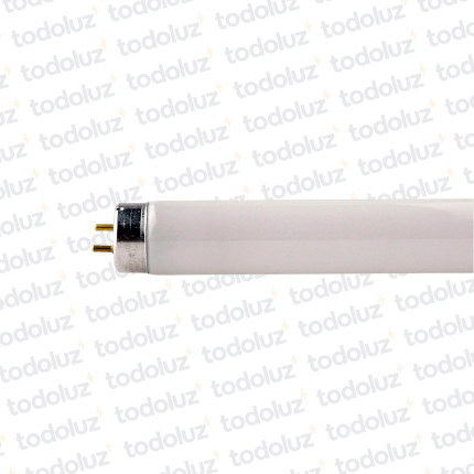 Tubo Fluorescente 36W 6200°k T8 Philips