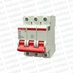 Interruptor Termomagnetico Sist. Din 3P 25A 6ka C Steck