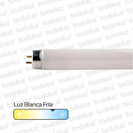 Tubo Fluorescente 1200mm 36W T8 G13 Luz Fria Philips