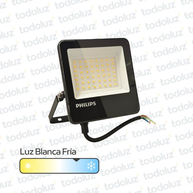 Proyector Multiled 30W Luz Fria 6500°k 220Vac Philips