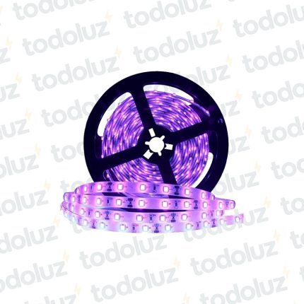 Cinta Led 10mm Luz Ultravioleta UV (60chip*50x50) 12W/m 12Vdc (x.Rollo/5mts)