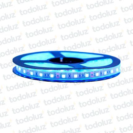 Cinta Led 10mm Luz Azul (60chip*50x50) 12W/m 12Vdc (x.Rollo/5mts)