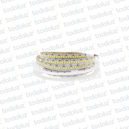 Cinta Led 10mm Luz Fria (240chip*38x25) 24W/m 12Vdc (x.Rollo/5mts)