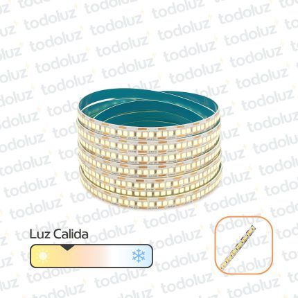 Cinta Led 10mm Luz Calida (240chip*38x25) 24W/m 12Vdc (x.600mm)
